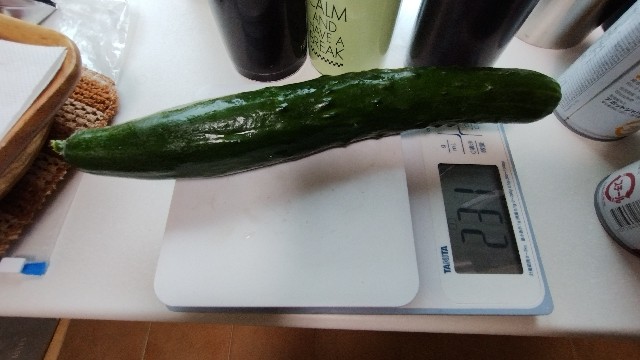 f:id:nakarobo:20240629071621j:image