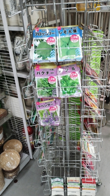 2025年 ダイソーの春種 販売開始 - 横浜家庭菜園研究所