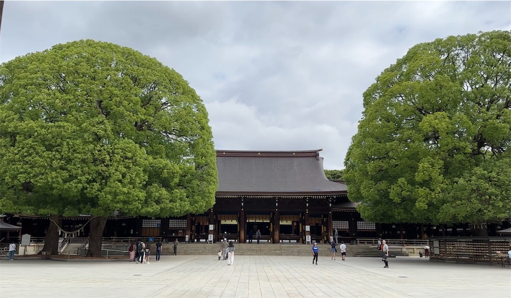 f:id:nakasan7863:20260606214634j:image f:id:nakasan7863:20260606214634j:image