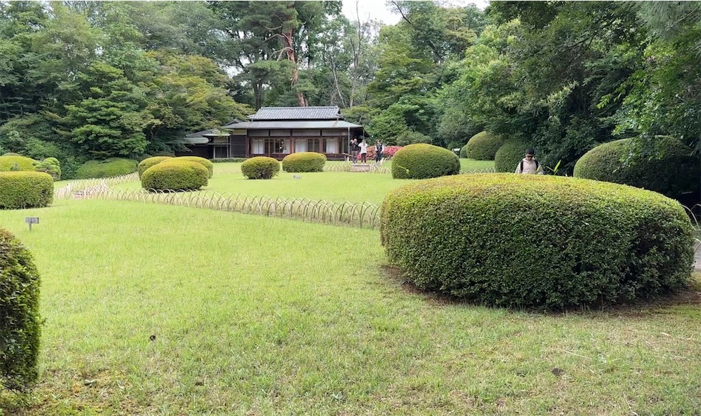 f:id:nakasan7863:20260606215228j:image f:id:nakasan7863:20260606215228j:image