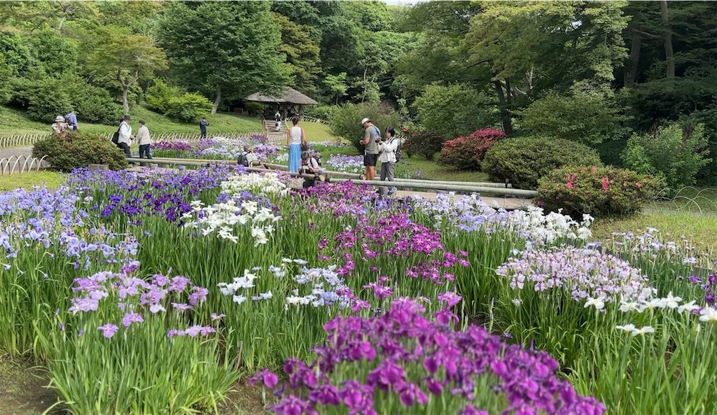 f:id:nakasan7863:20260606215257j:image f:id:nakasan7863:20260606215257j:image
