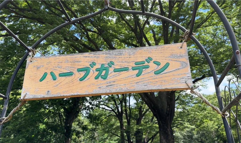 f:id:nakasan7863:20260608210120j:image