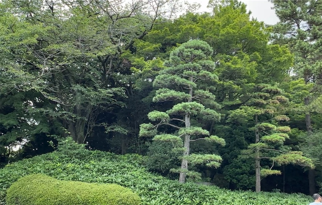 f:id:nakasan7863:20260720210922j:image f:id:nakasan7863:20260720210922j:image