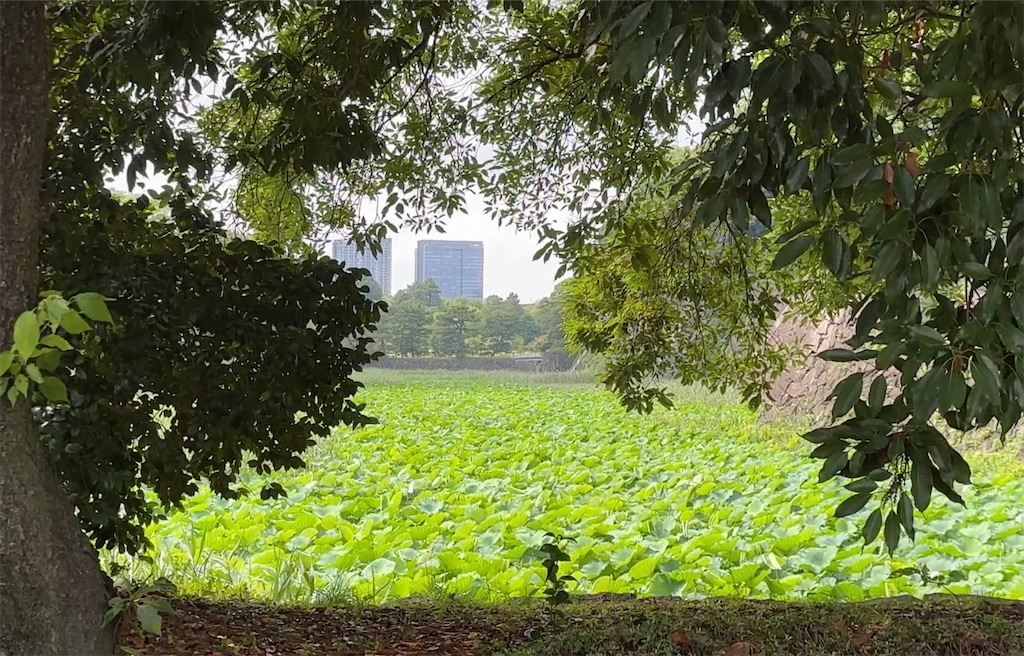 f:id:nakasan7863:20260720211030j:image f:id:nakasan7863:20260720211030j:image