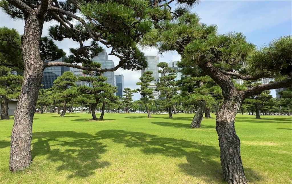 f:id:nakasan7863:20260721201249j:image f:id:nakasan7863:20260721201249j:image