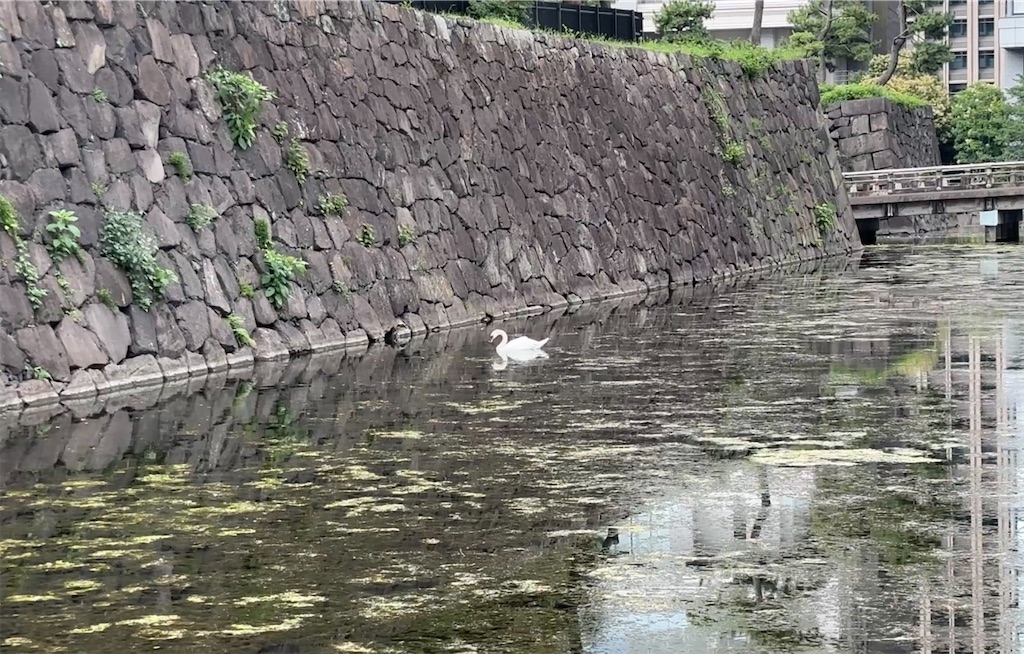 f:id:nakasan7863:20260721202130j:image f:id:nakasan7863:20260721202130j:image