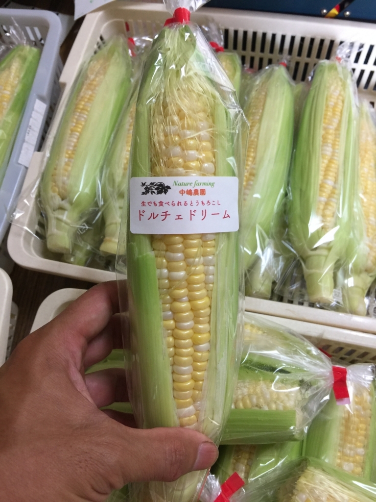f:id:nakashimato:20180705222141j:plain