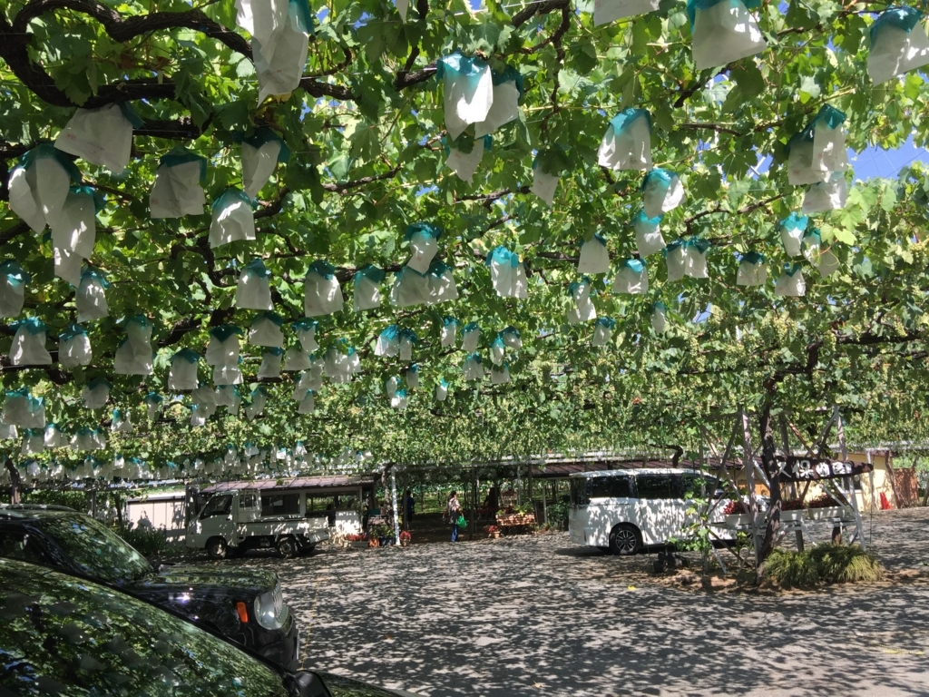 f:id:nakashimato:20180729224407j:plain