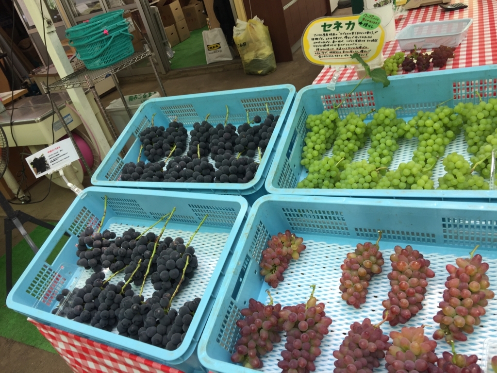 f:id:nakashimato:20180729230433j:plain