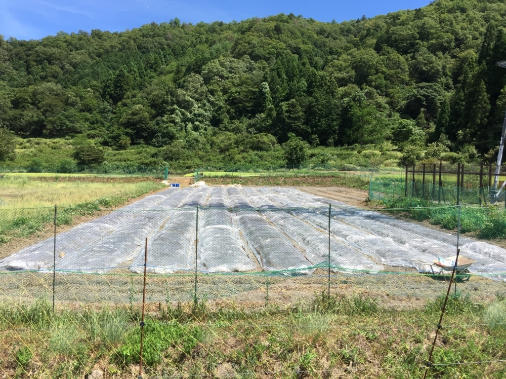 f:id:nakashimato:20180822123536j:plain