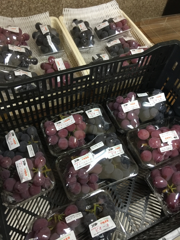 f:id:nakashimato:20180902073052j:plain