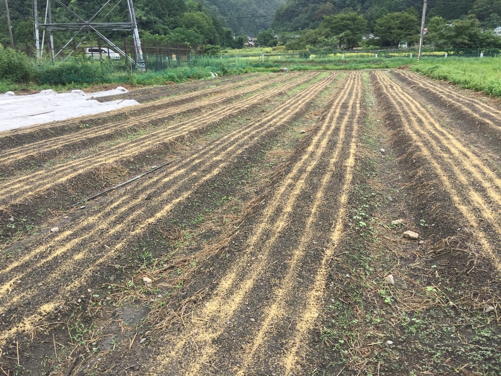 f:id:nakashimato:20180902073139j:plain