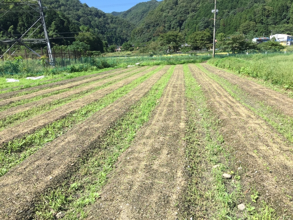 f:id:nakashimato:20180919135654j:plain