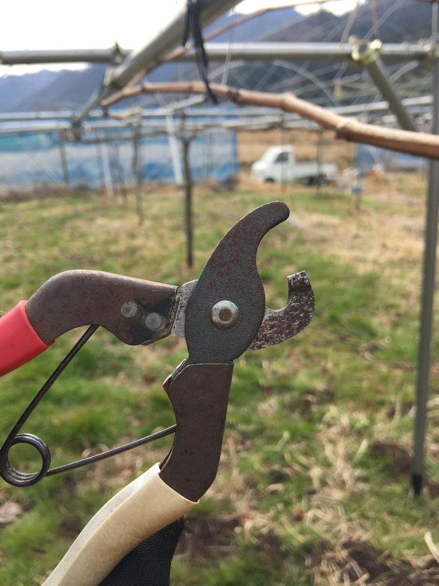 f:id:nakashimato:20190316235627j:plain
