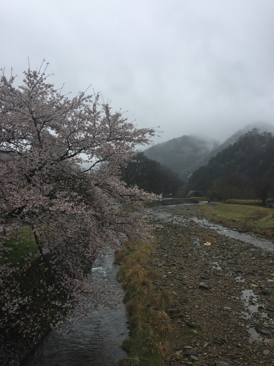 f:id:nakashimato:20190410122614j:plain