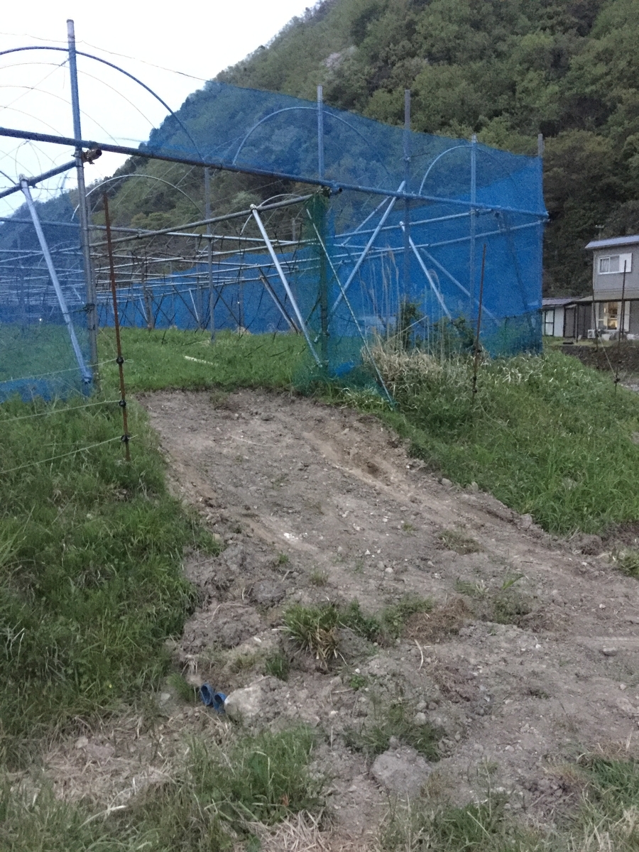 f:id:nakashimato:20190423194930j:plain