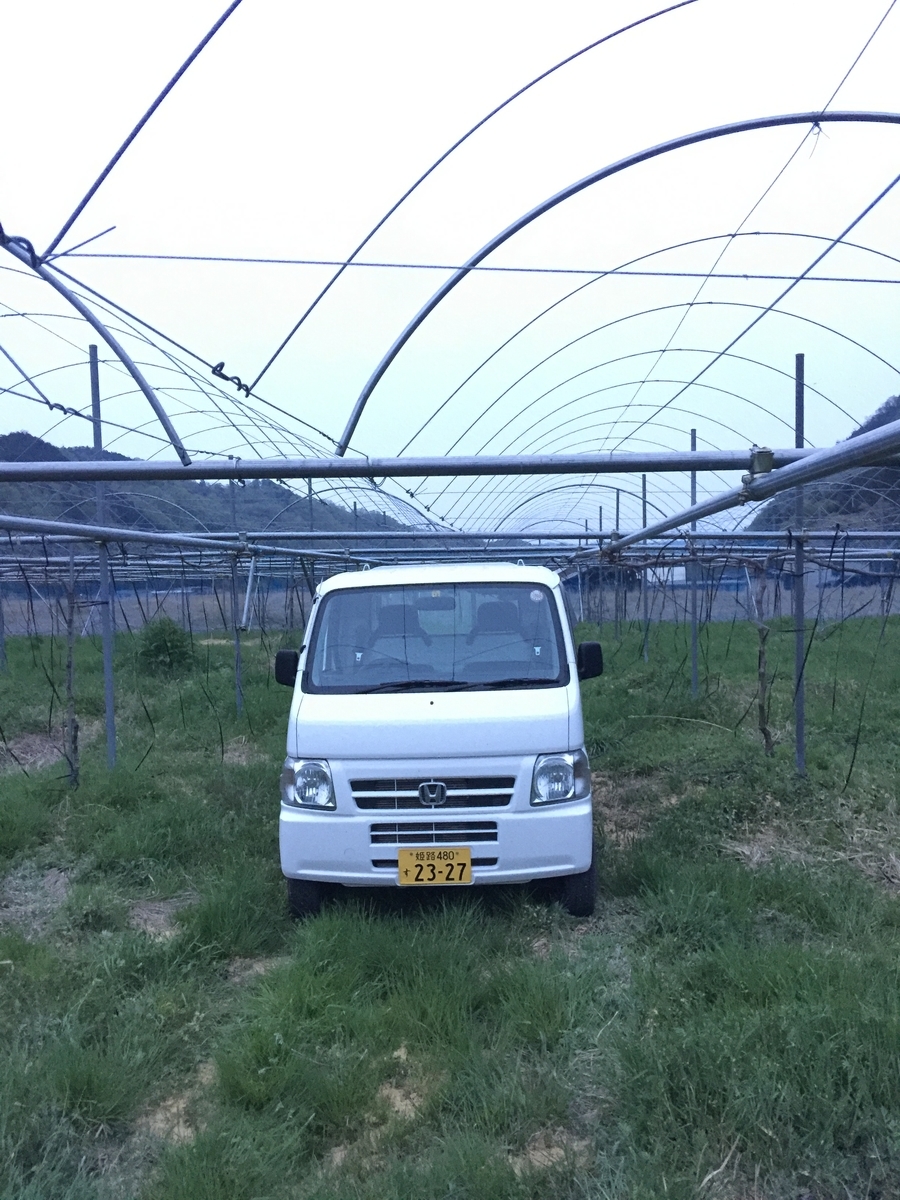 f:id:nakashimato:20190423194952j:plain