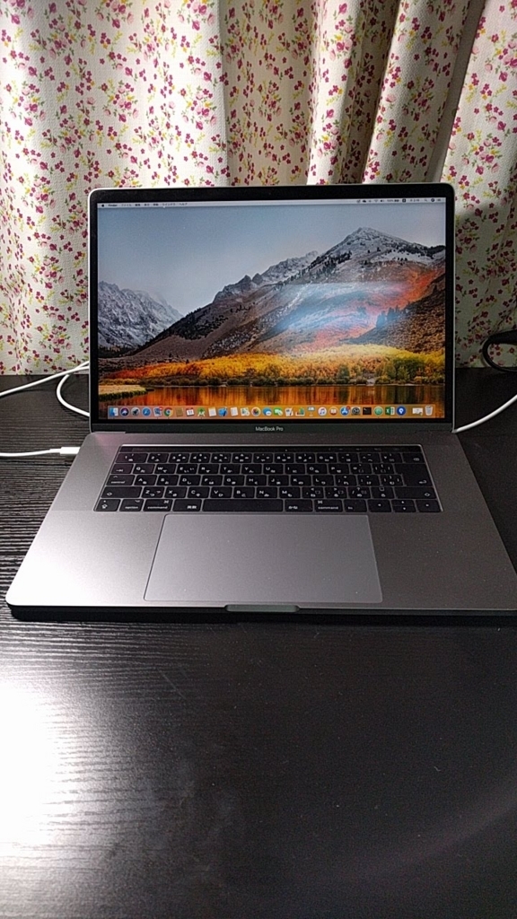 f:id:nakasin52:20180611081717j:plain