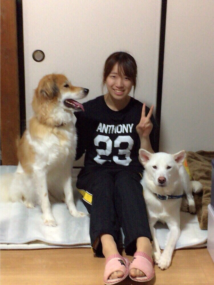 f:id:nakasoto:20180913091928j:plain