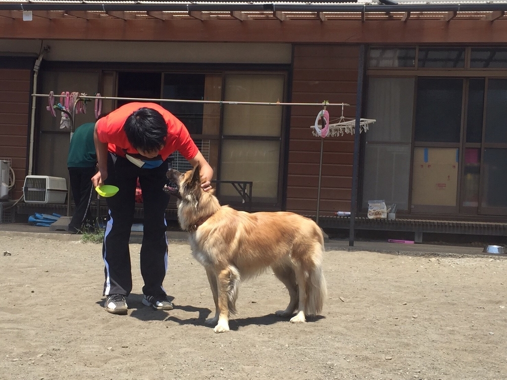f:id:nakasoto:20180913092001j:plain
