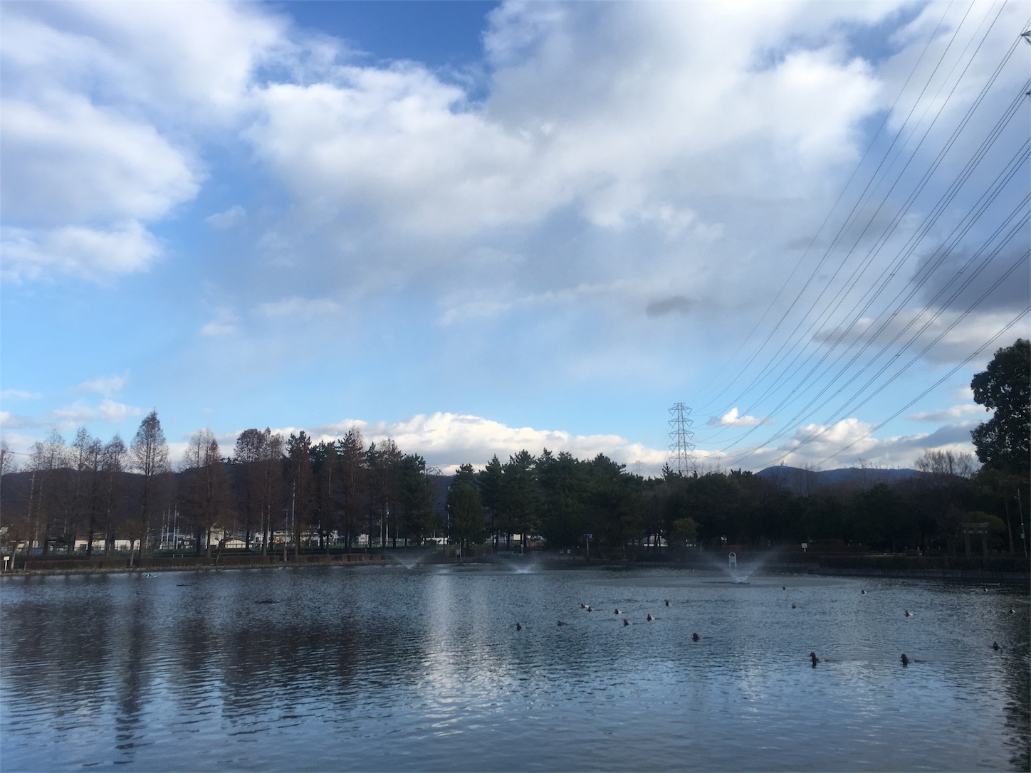 f:id:nakatakaori:20180104182440j:image