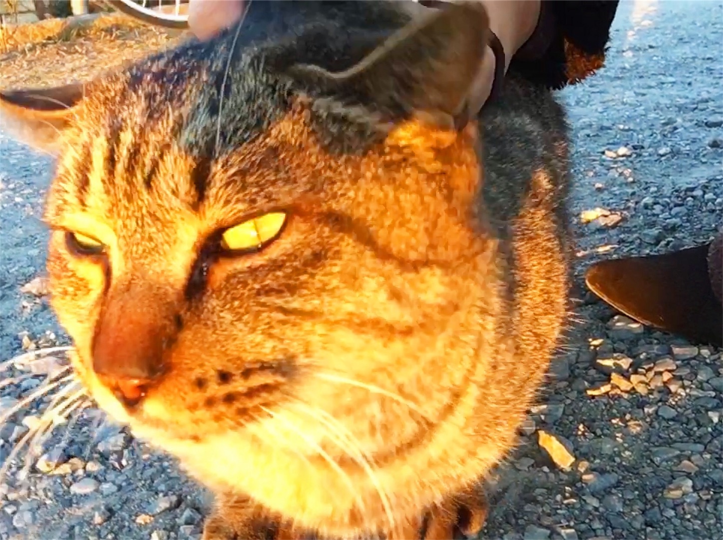 f:id:nakatakaori:20180114032009j:image f:id:nakatakaori:20180114032009j:image