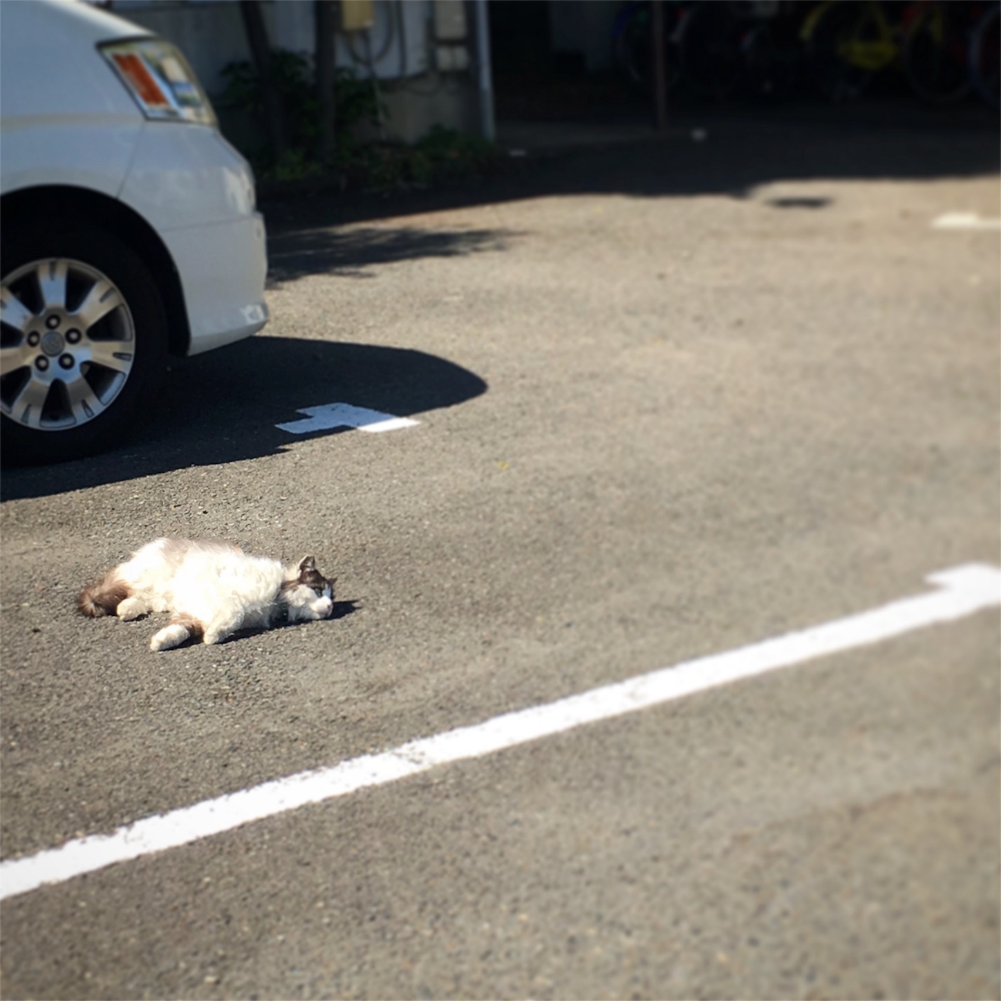 f:id:nakatakaori:20180115051324j:image f:id:nakatakaori:20180115051324j:image