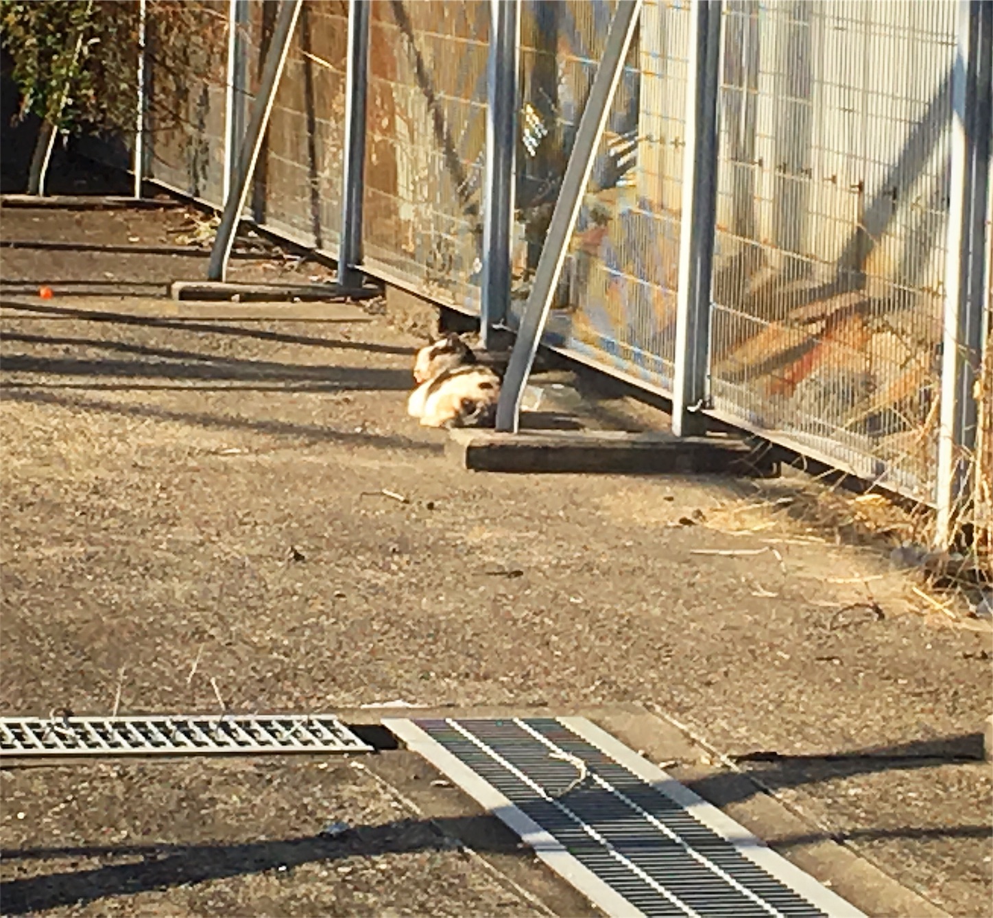 f:id:nakatakaori:20180116022045j:image