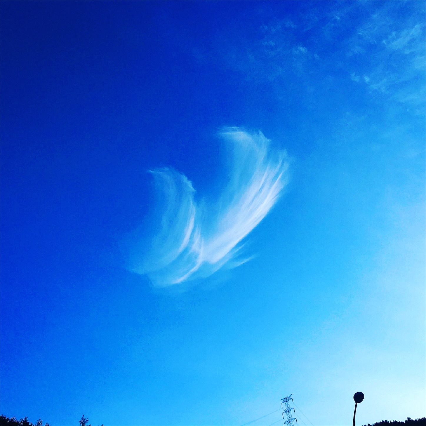 f:id:nakatakaori:20180129182032j:image