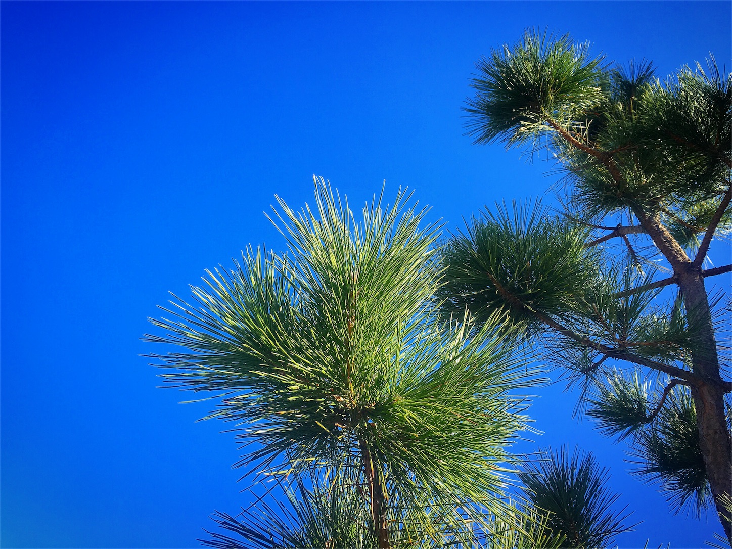 f:id:nakatakaori:20180301142730j:image f:id:nakatakaori:20180301142730j:image