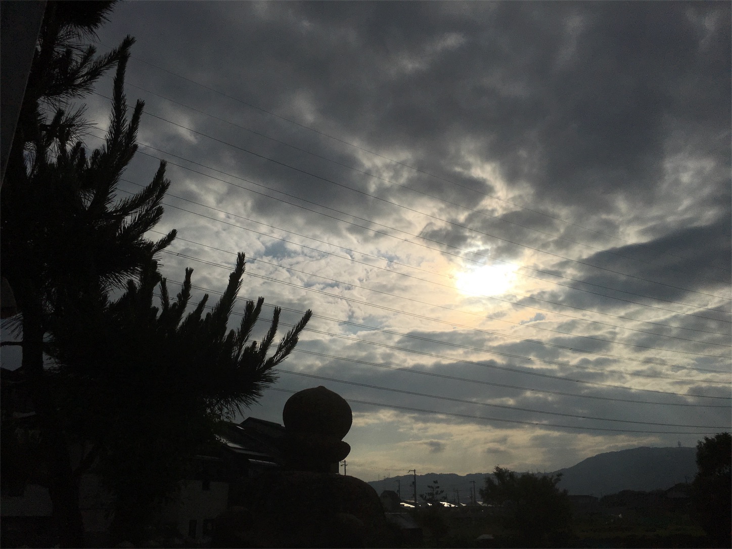 f:id:nakatakaori:20180602115441j:image f:id:nakatakaori:20180602115441j:image