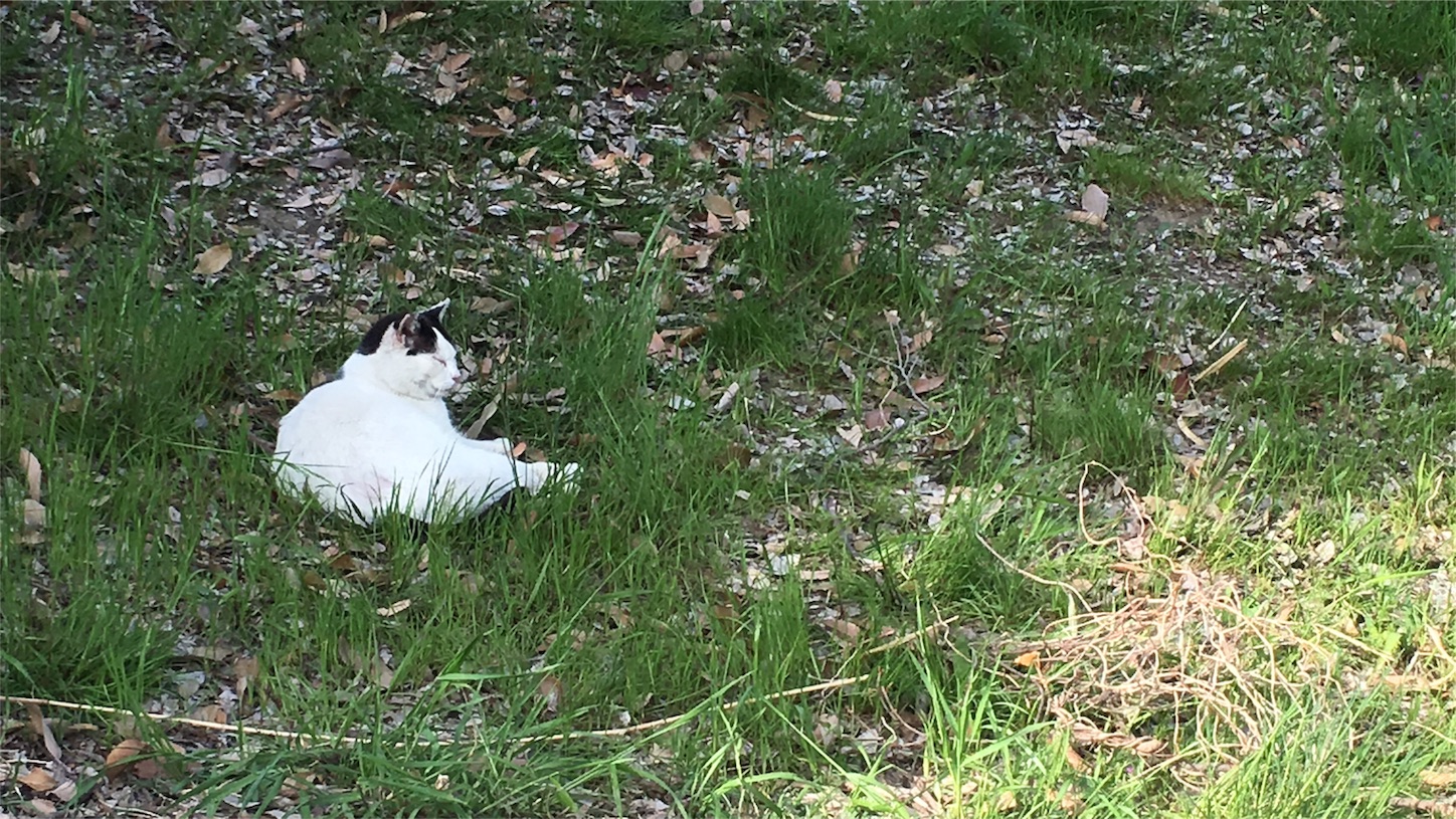 f:id:nakatakaori:20180604125018j:image f:id:nakatakaori:20180604125018j:image