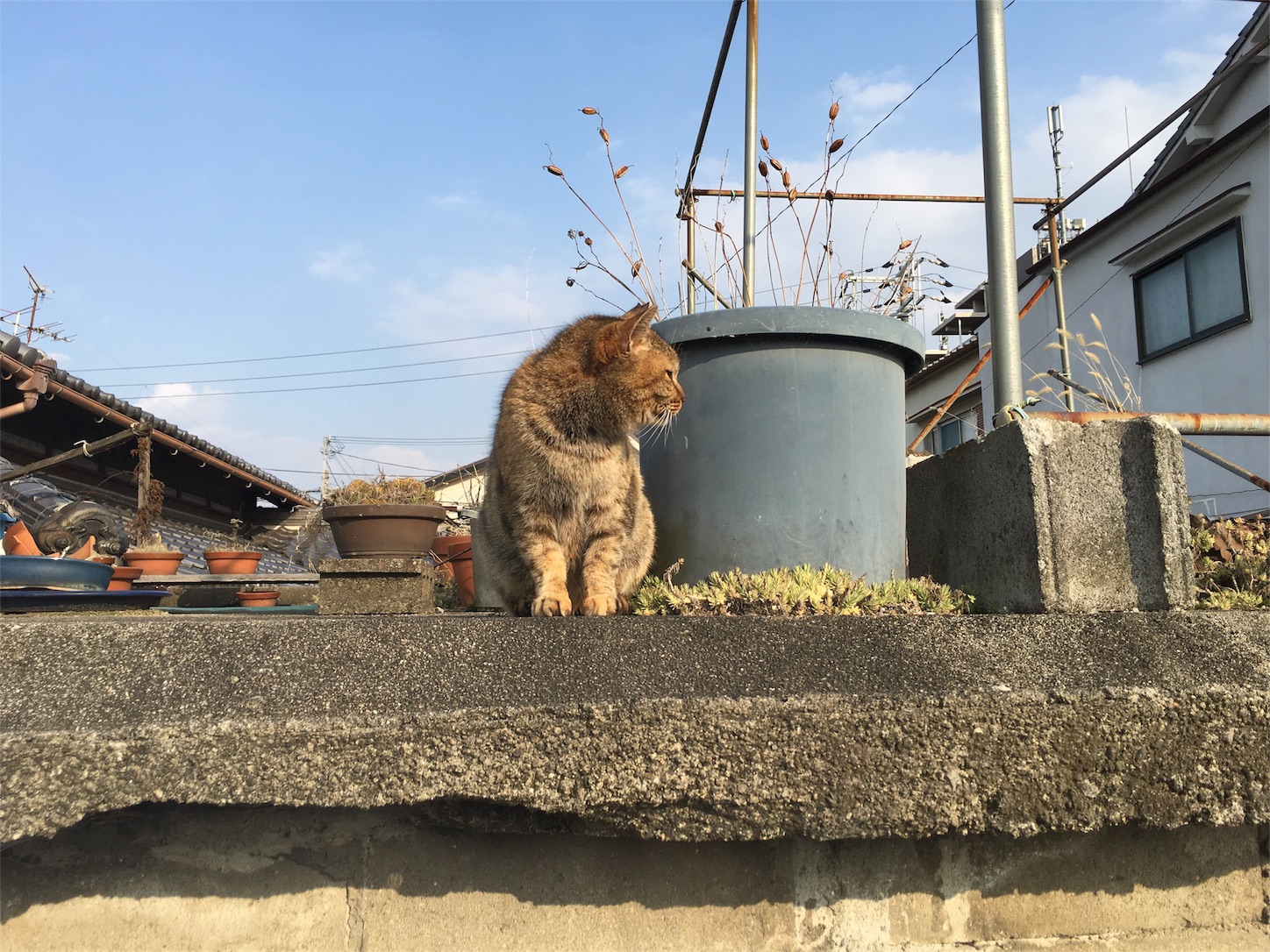 f:id:nakatakaori:20180608155024j:image f:id:nakatakaori:20180608155024j:image