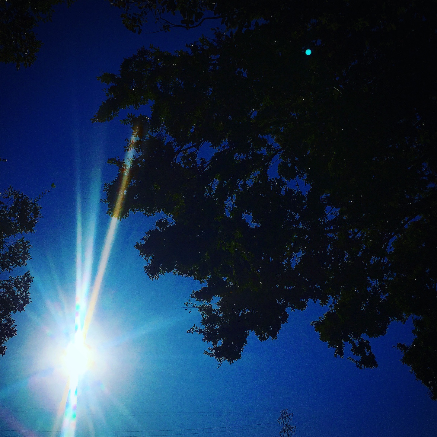 f:id:nakatakaori:20180619150839j:image