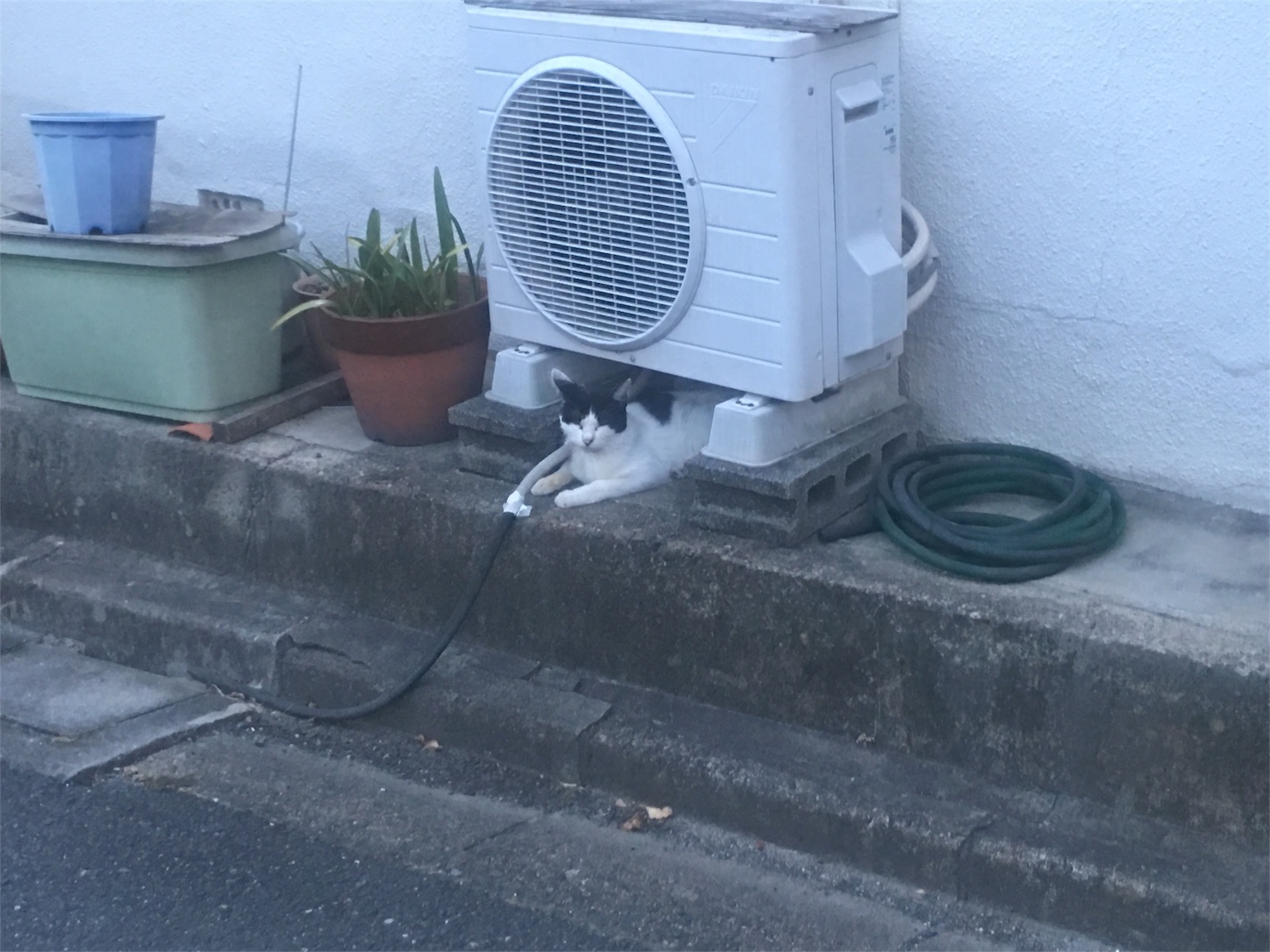 f:id:nakatakaori:20180828090328j:image f:id:nakatakaori:20180828090328j:image