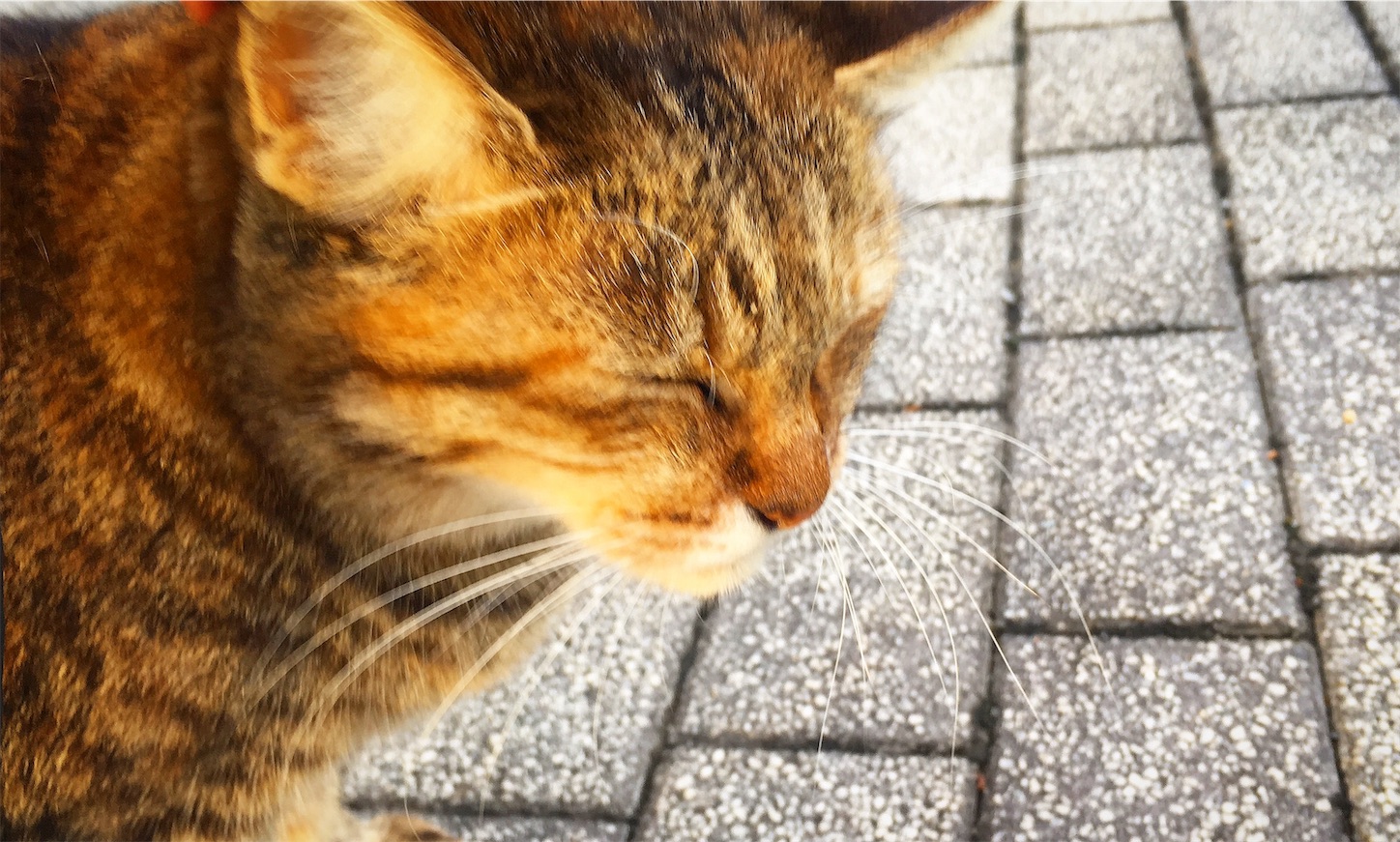 f:id:nakatakaori:20181223120423j:image f:id:nakatakaori:20181223120423j:image