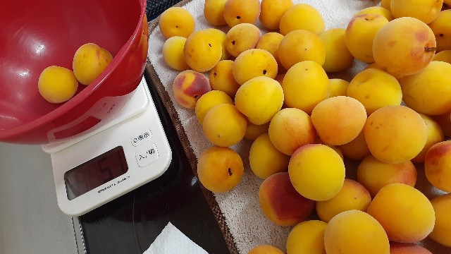 f:id:nakatakaori:20210620152140j:image f:id:nakatakaori:20210620152140j:image