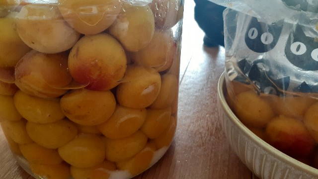 f:id:nakatakaori:20210620152317j:image f:id:nakatakaori:20210620152317j:image