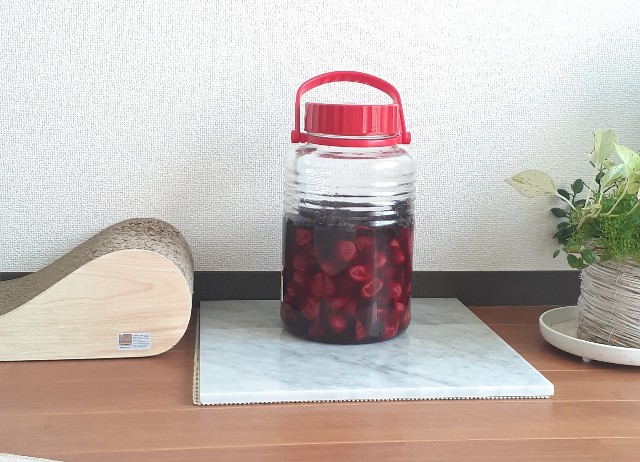 f:id:nakatakaori:20210725104748j:image