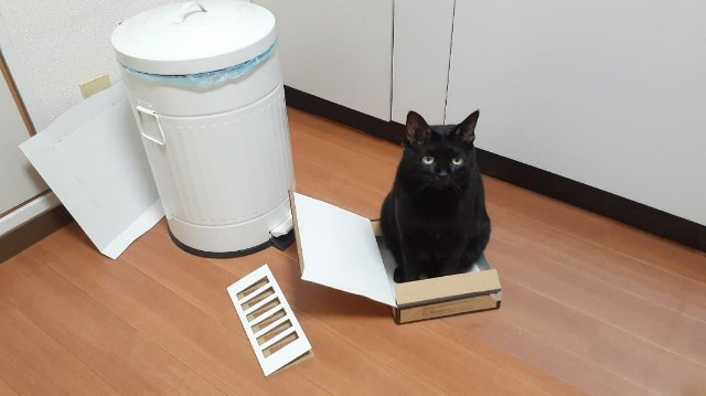 f:id:nakatakaori:20210910064709j:image f:id:nakatakaori:20210910064709j:image