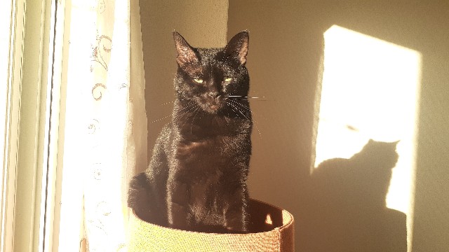 f:id:nakatakaori:20211029075647j:image f:id:nakatakaori:20211029075647j:image