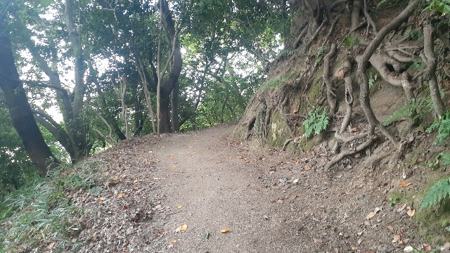 f:id:nakatakaori:20211101200123j:image