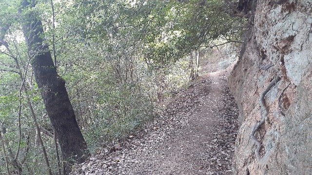 f:id:nakatakaori:20211101200405j:image