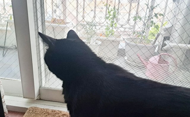 f:id:nakatakaori:20240418123642j:image