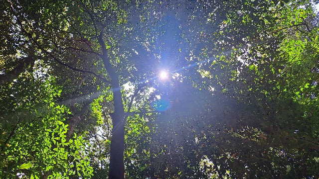 f:id:nakatakaori:20240419190014j:image