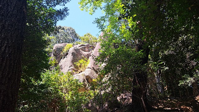 f:id:nakatakaori:20240419190028j:image