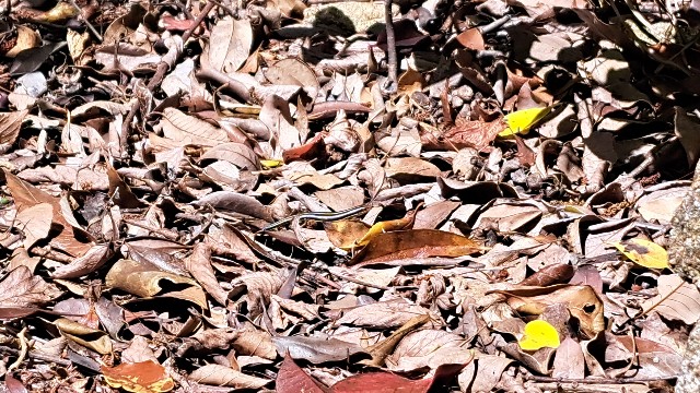 f:id:nakatakaori:20240419190045j:image