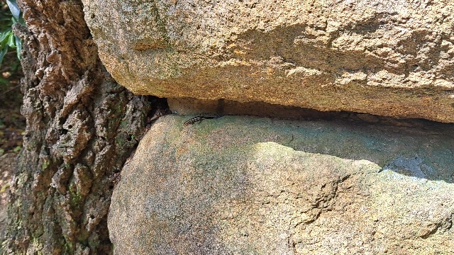 f:id:nakatakaori:20240419190055j:image