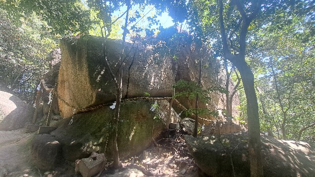 f:id:nakatakaori:20240419190111j:image