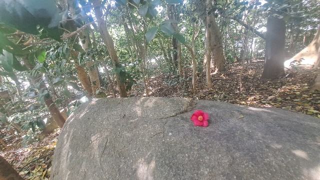 f:id:nakatakaori:20240419190121j:image